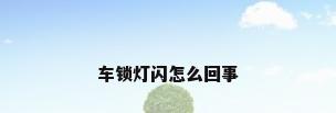 车锁灯闪怎么回事