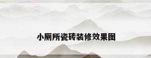 小厕所瓷砖装修效果图