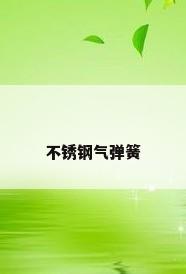 不锈钢气弹簧