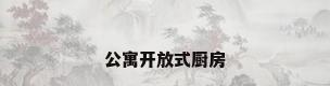 公寓开放式厨房