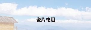 瓷片电阻