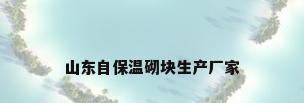 山东自保温砌块生产厂家