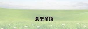 食堂吊顶