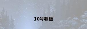10号钢板