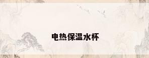 电热保温水杯