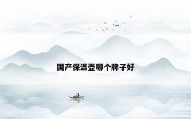 国产保温壶哪个牌子好