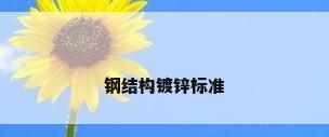 钢结构镀锌标准