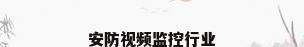 安防视频监控行业
