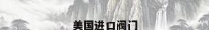 美国进口阀门
