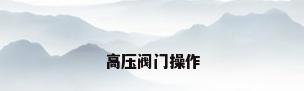 高压阀门操作