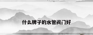 什么牌子的水管阀门好