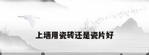 上墙用瓷砖还是瓷片好
