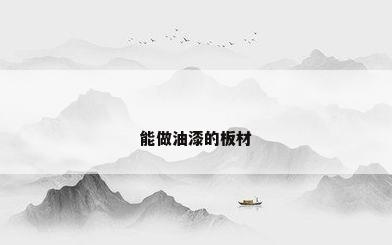 能做油漆的板材