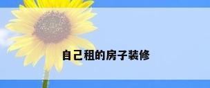 自己租的房子装修
