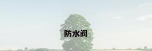 防水阀
