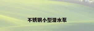 不锈钢小型潜水泵