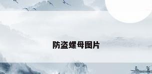 防盗螺母图片