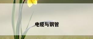 电缆与钢管