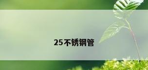 25不锈钢管