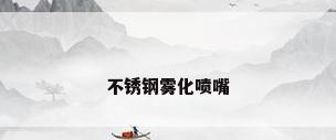 不锈钢雾化喷嘴