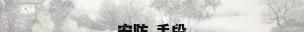 安防 手段