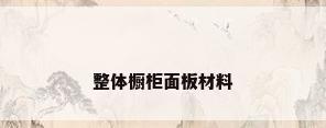 整体橱柜面板材料