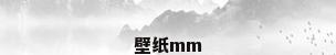壁纸mm