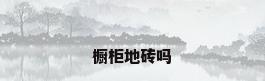 橱柜地砖吗