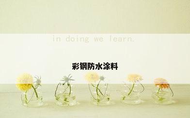 彩钢防水涂料
