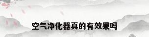 空气净化器真的有效果吗