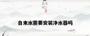 自来水需要安装净水器吗