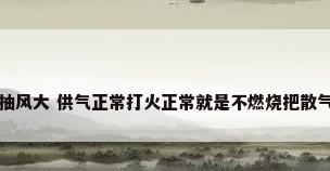 恒温热水器风机抽风大 供气正常打火正常就是不燃烧把散气片和燃烧室的...