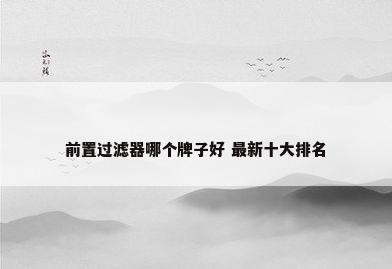 前置过滤器哪个牌子好 最新十大排名