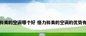 格力和美的空调哪个好 格力和美的空调的优势有哪些