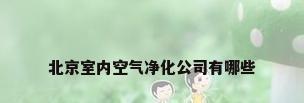 北京室内空气净化公司有哪些