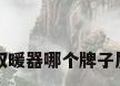 电热取暖器哪个牌子质量好