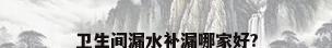 卫生间漏水补漏哪家好?