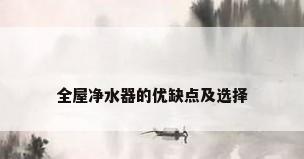 全屋净水器的优缺点及选择