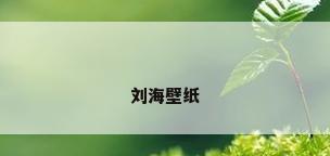 刘海壁纸