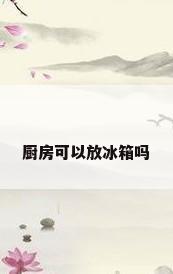 厨房可以放冰箱吗