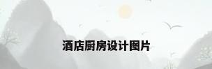 酒店厨房设计图片
