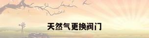 天然气更换阀门