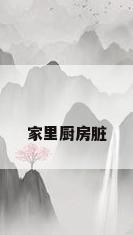 家里厨房脏