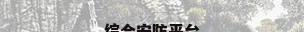 综合安防平台