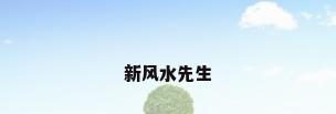 新风水先生