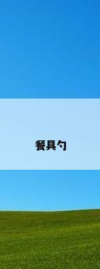餐具勺
