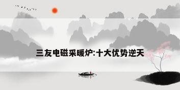 三友电磁采暖炉:十大优势逆天