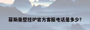 菲斯曼壁挂炉官方客服电话是多少?