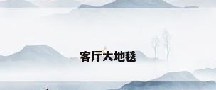 客厅大地毯