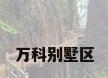 万科别墅区